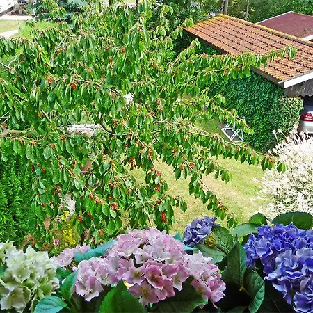 Ferienhaus Fdz 221 Nyaraló *